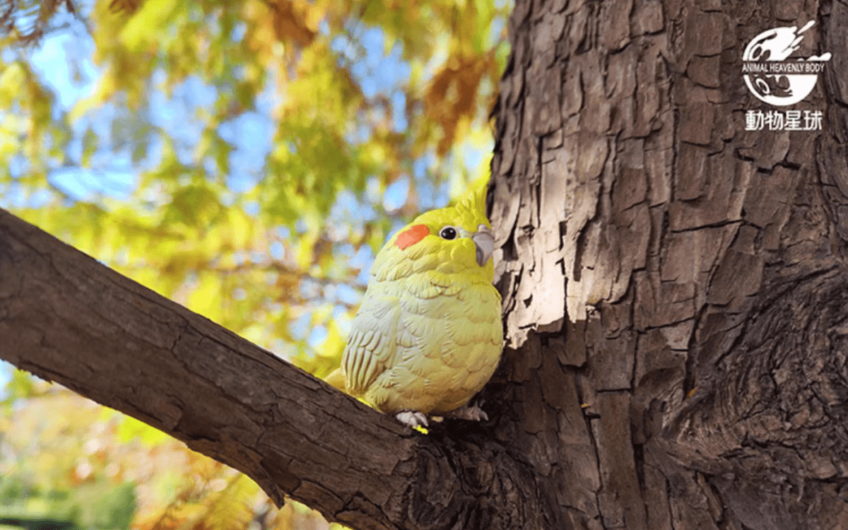 A Series of Laugh and Grow Fat Blind Box Bird - Explorers Gifts