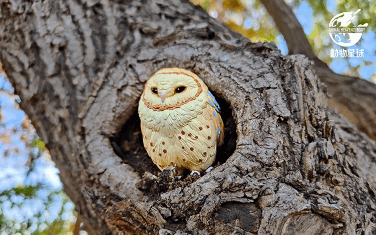 A Series of Laugh and Grow Fat Blind Box Bird - Explorers Gifts
