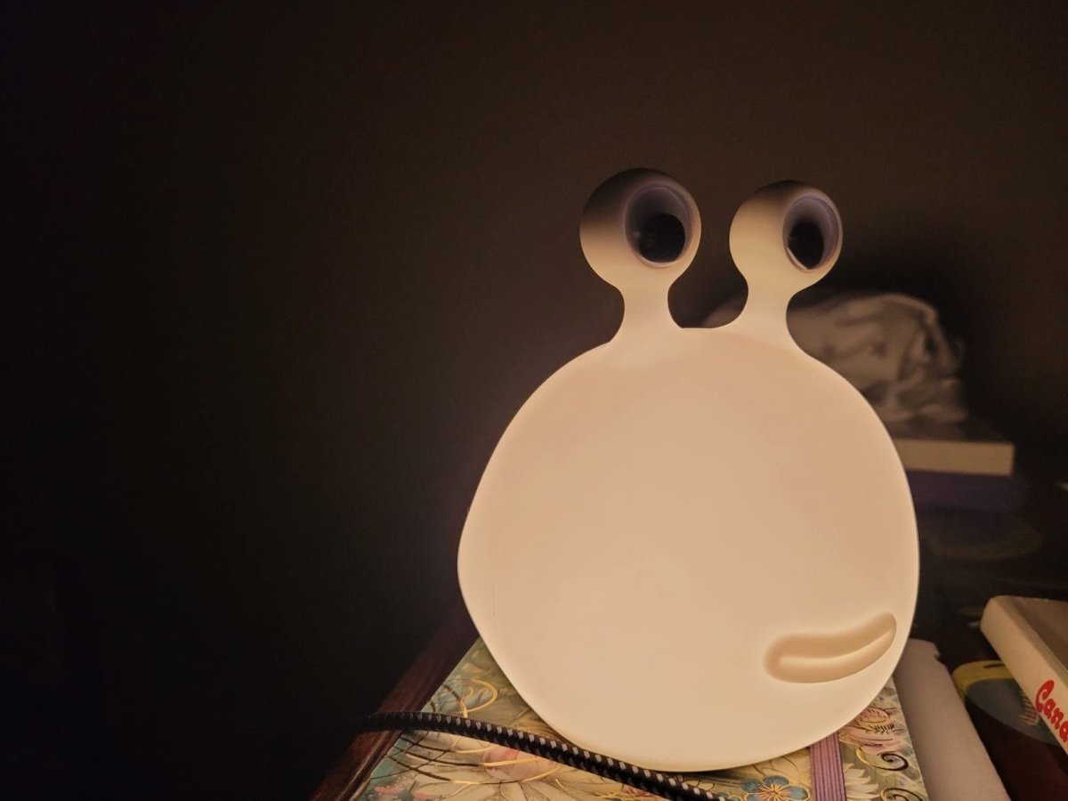 Explorers Lovely Slug Night Light - Explorers Gifts