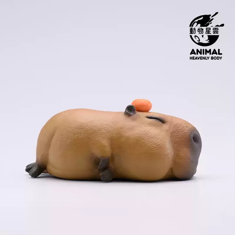 Animal Heavenly Body Blind Box Mouse - Explorers Gifts