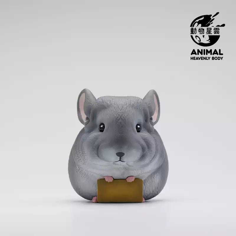 Animal Heavenly Body Blind Box Mouse - Explorers Gifts