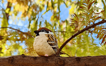 A Series of Laugh and Grow Fat Blind Box Bird - Explorers Gifts