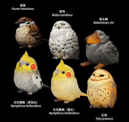 A Series of Laugh and Grow Fat Blind Box Bird - Explorers Gifts
