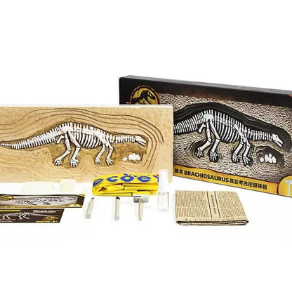 EcoeY-Archaeological Dig-Dinosaur